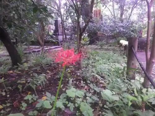 宝戒寺のその他建物