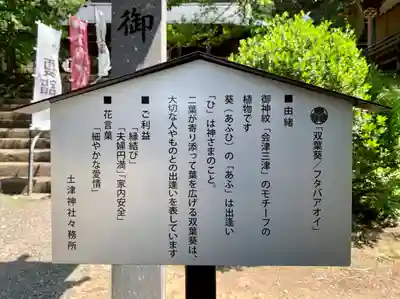 土津神社|こどもと出世の神さまの歴史