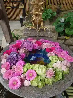 白山神社(新潟県)