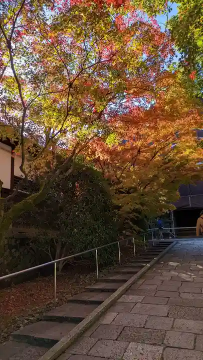 青蓮院門跡(京都府)