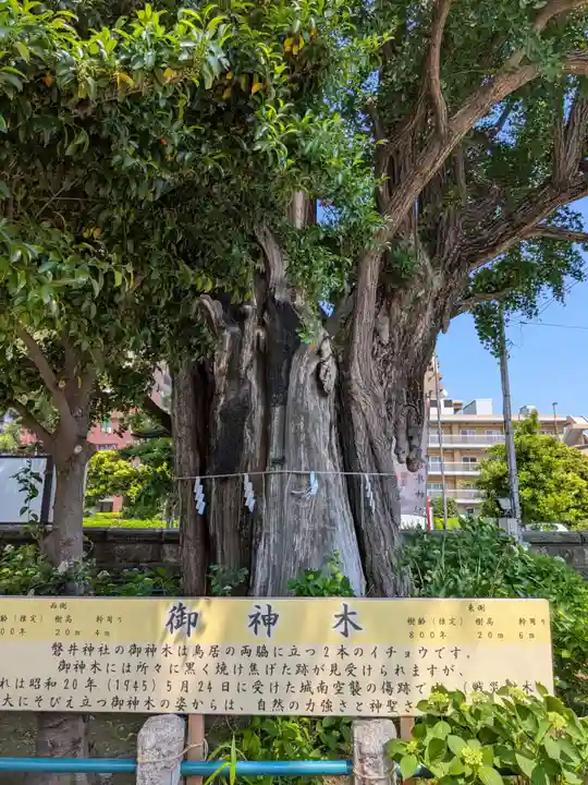 磐井神社(東京都)