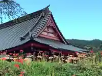 興徳寺(静岡県)