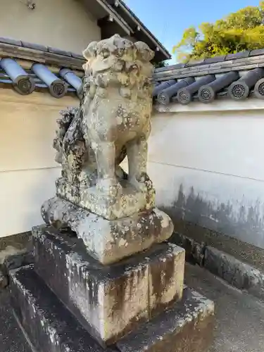 小泉神社の狛犬