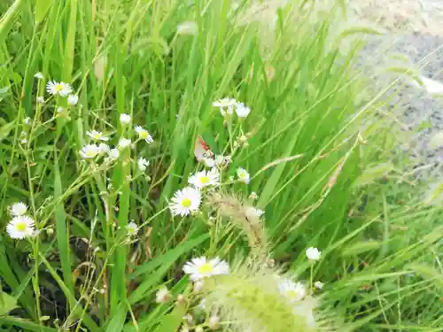 長福寿寺の自然