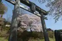 菅布禰神社の鳥居