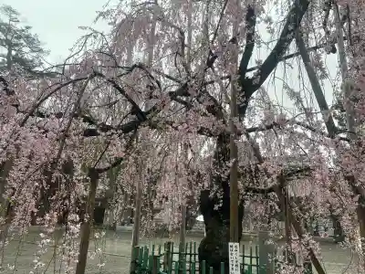 大國魂神社(東京都)