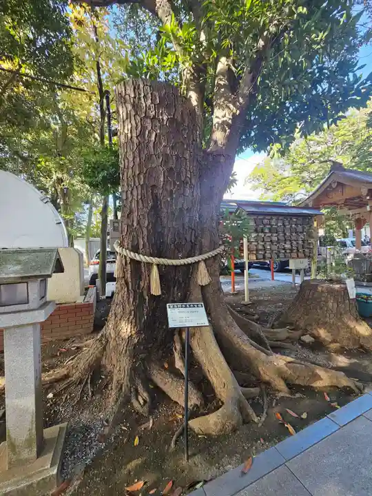 大宮・大原神社(千葉県)