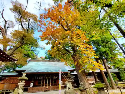 蠶養國神社(福島県)