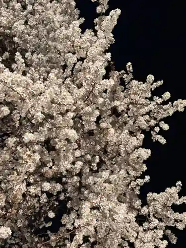 妙道寺(栃木県)