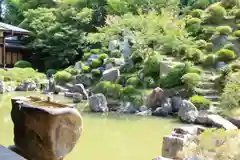  智積院の庭園