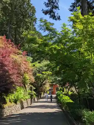 三室戸寺(京都府)