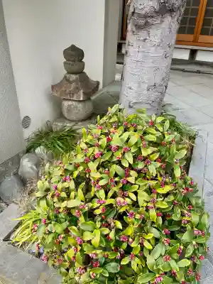 龍光寺(東京都)