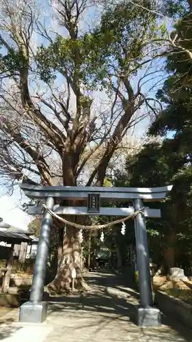 五社神社の鳥居