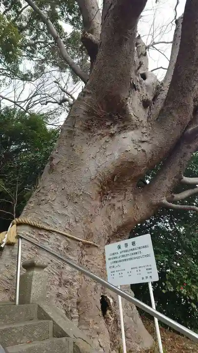常陸第三宮 吉田神社(茨城県)