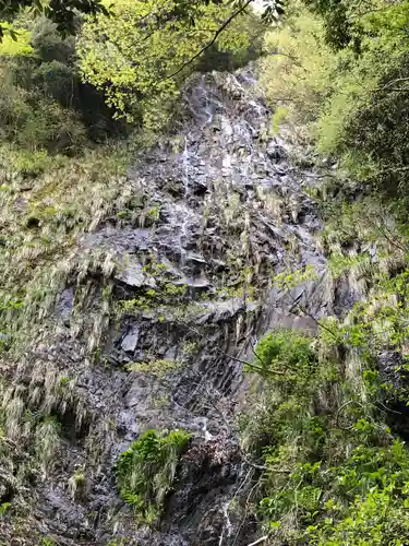 宇良神社(浦嶋神社)の自然
