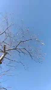 比佐豆知神社(三重県)(2026年03月24日(火) 11時44分02秒投稿)