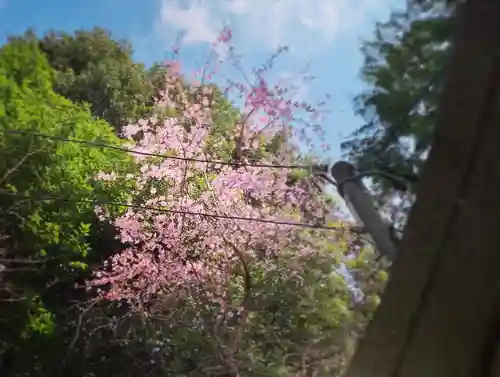 滑川神社 - 仕事と子どもの守り神の自然