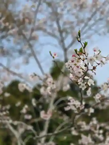 母智丘神社の{uncategorized: "未分類", other: "その他", undefined: "問題あり", building: "その他建物", grave: "お墓", sacred_gate: "鳥居", guardian: "狛犬", statue: "像", buddha: "仏像", history: "歴史", nature: "自然", garden: "庭園", animal: "動物", pagoda: "塔", temizu: "手水舎", mountain_gate: "山門・神門", sanctuary: "本殿・本堂", subordinate: "末社・摂社", art: "芸術", scenery: "景色", jizo: "地蔵", ema: "絵馬", goshuin: "御朱印", omikuji: "おみくじ", items: "授与品その他", amulet: "お守り", goshuincho: "御朱印帳", eats: "食事", festival: "お祭り", votive_dance: "神楽", shichigosan: "七五三参", wedding: "結婚式", experience: "体験その他", initially: "初詣", around: "周辺", anti_infection: "感染症対策"}