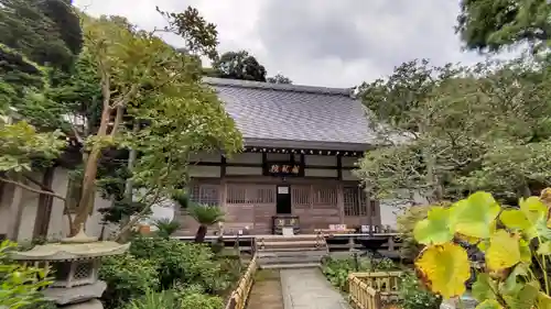 成就院の本殿・本堂