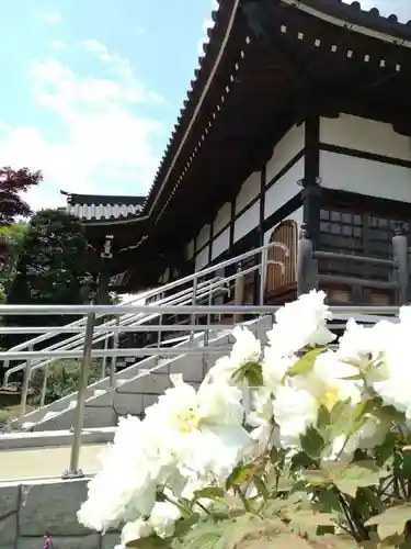 浄国寺の庭園