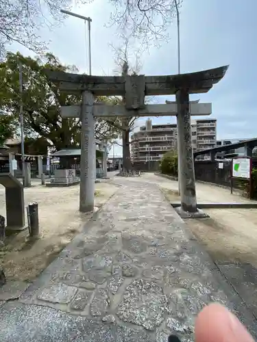 田島八幡神社の鳥居