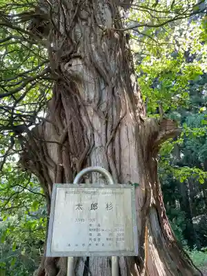 箟峯寺(宮城県)