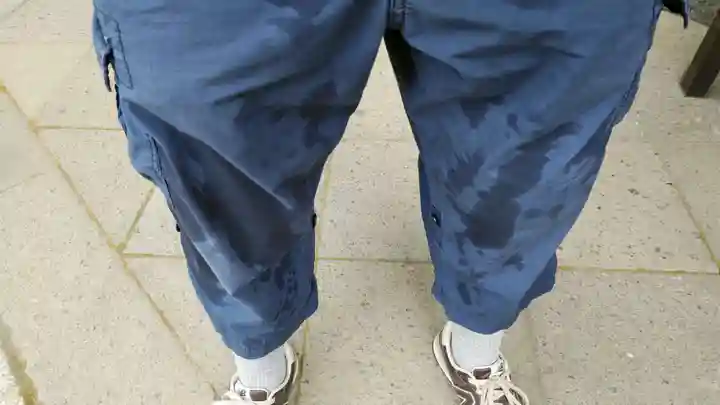 大山寺(神奈川県)