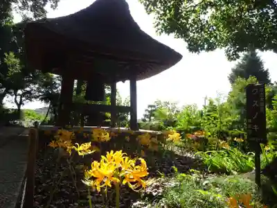 横浜　西方寺のその他建物