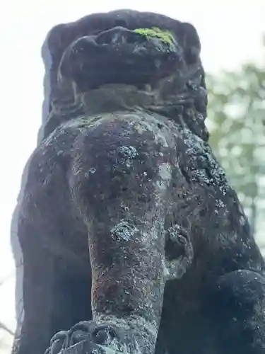 北口本宮冨士浅間神社の狛犬