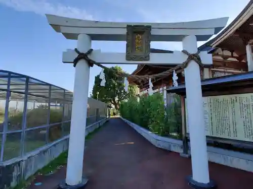 岩国白蛇神社(山口県)