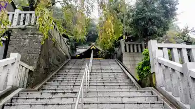 毛谷黒龍神社(福井県)