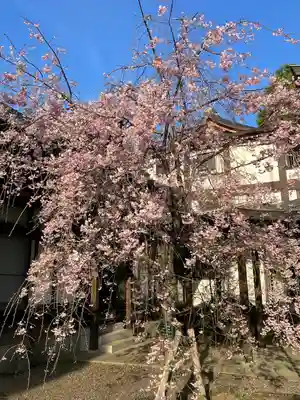 大國魂神社(東京都)