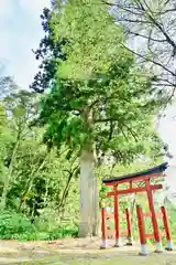 石動神社の自然