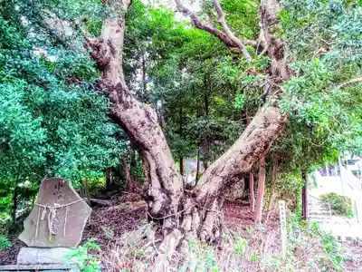 篭山神社のその他建物