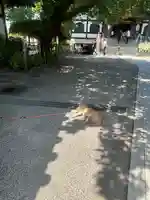 感通寺(東京都)