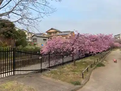 長円寺(京都府)