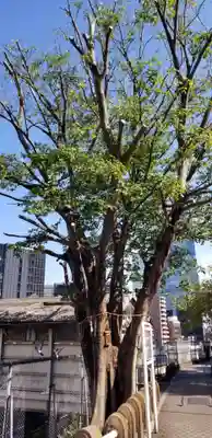 太田姫稲荷神社跡(一口神社)(東京都)