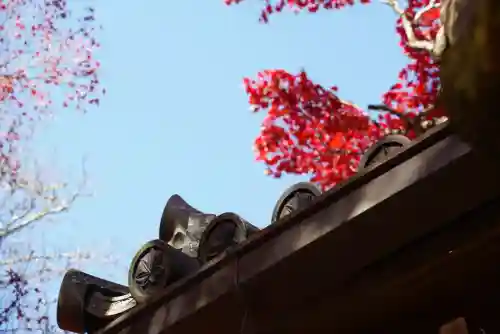 常寂光寺(京都府)