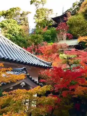 禅林寺(永観堂)(京都府)