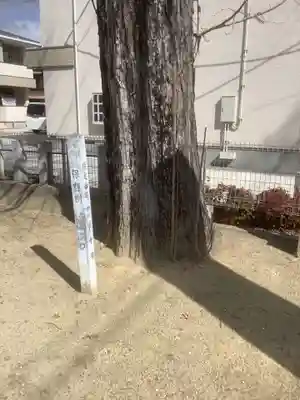 神明社・土之宮合殿(愛知県)
