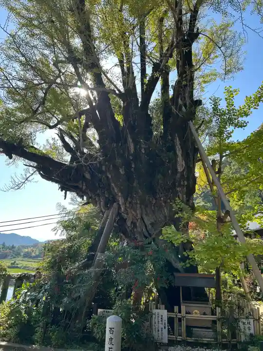 葛城一言主神社(奈良県)