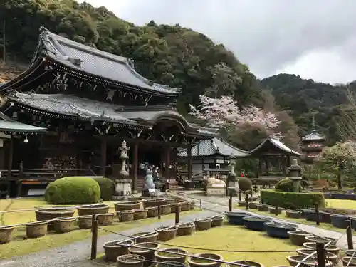 三室戸寺の庭園