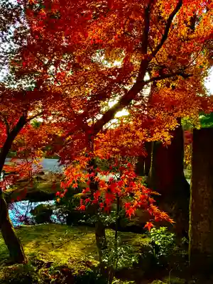 宝満宮竈門神社(福岡県)