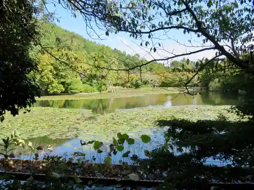 龍安寺の庭園