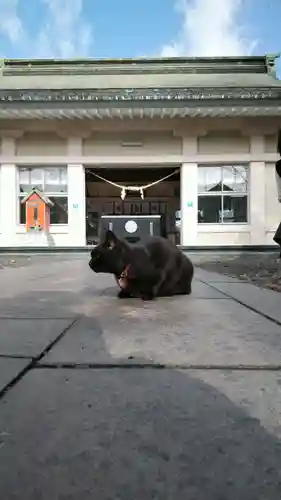 南洲神社の動物