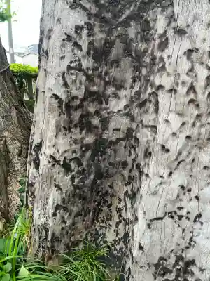 飛木稲荷神社(東京都)