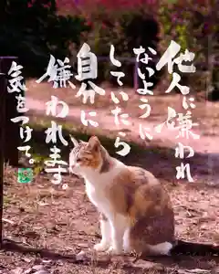 専念寺(大阪府)(2022年10月25日(火) 20時24分16秒投稿)