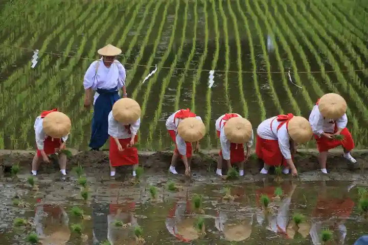 高屋敷稲荷神社のお祭り