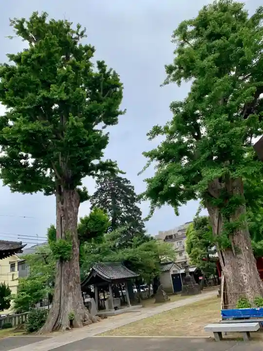 諏訪神社の自然
