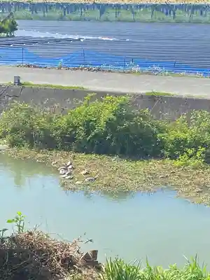 法話と天井絵の寺 観音寺(徳島県)